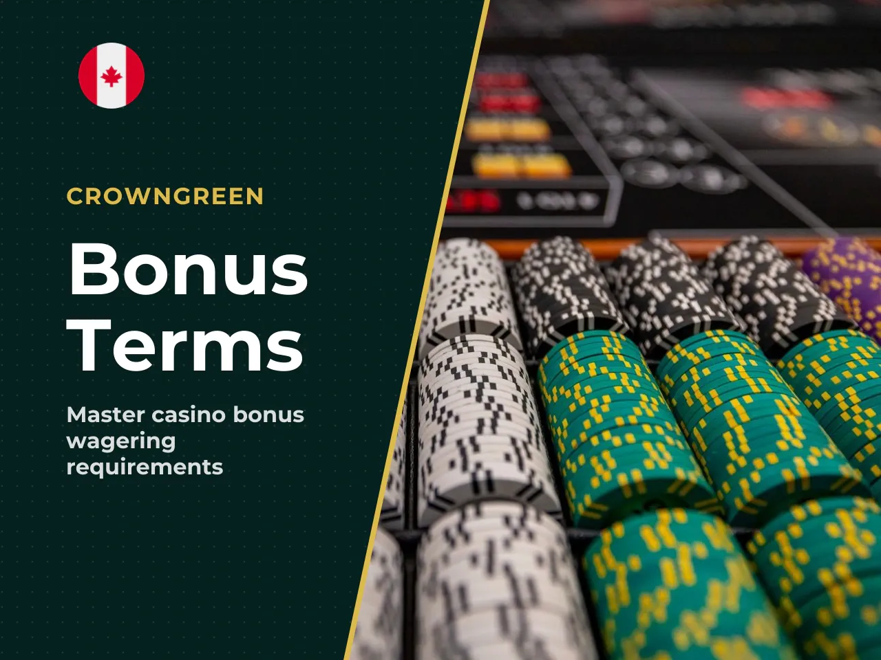 How to Read Bonus Terms in