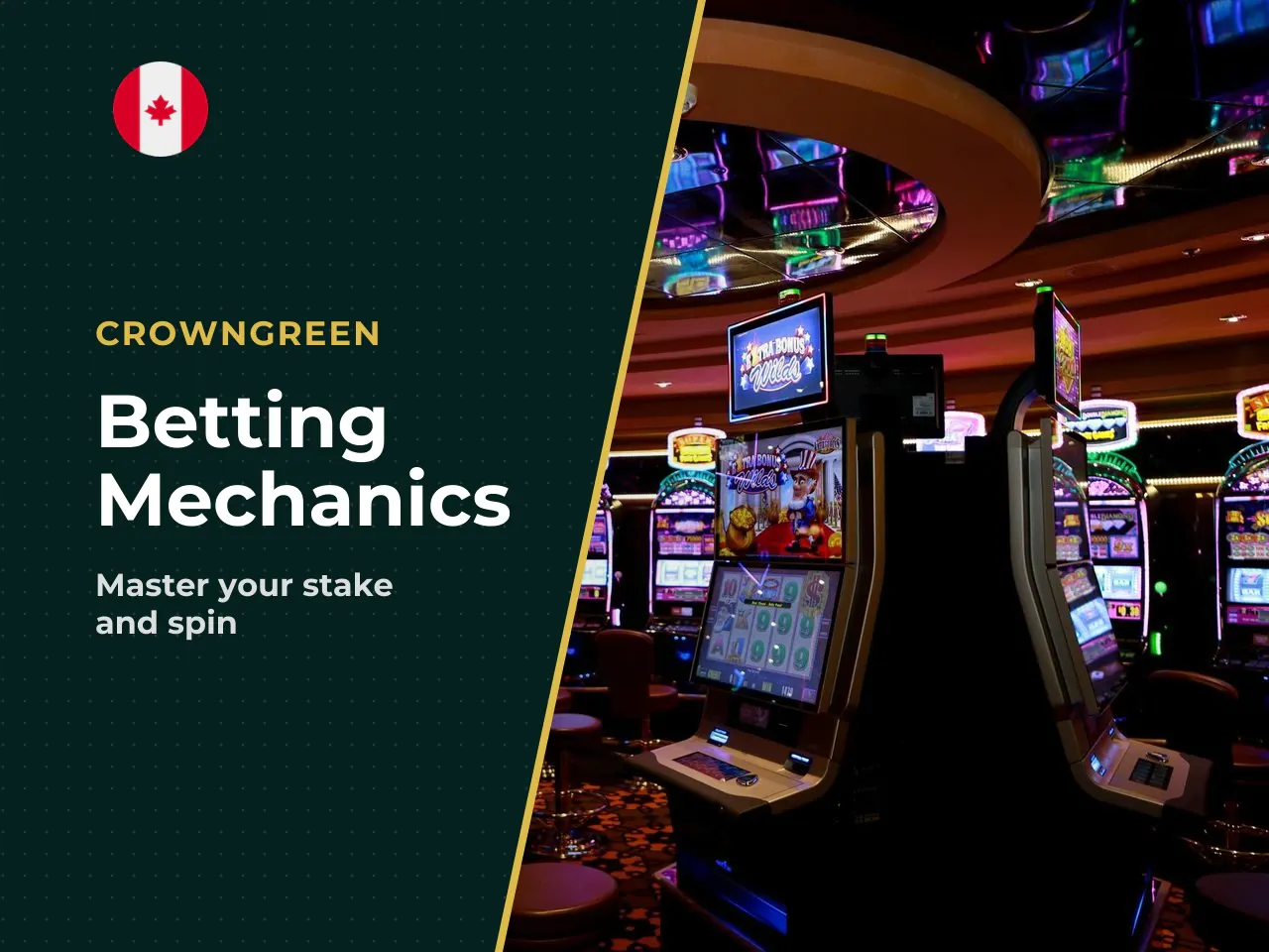 How to Set Your Bet and