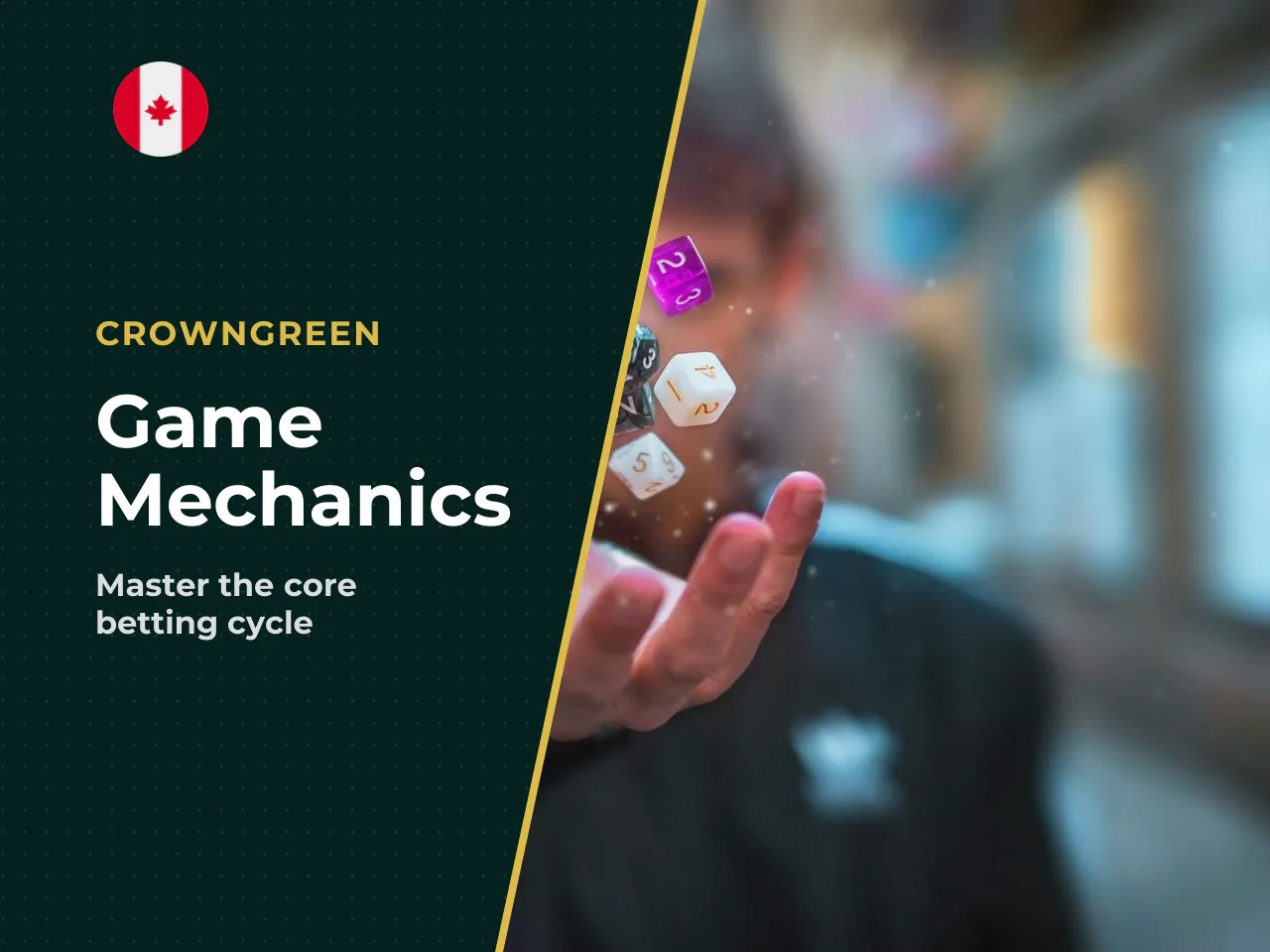 Gameplay Cycle Bet, Steps, Multiplier, and