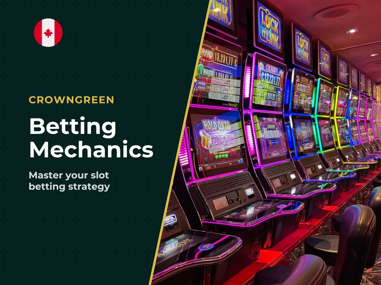 How Bets and Regular Spins Work