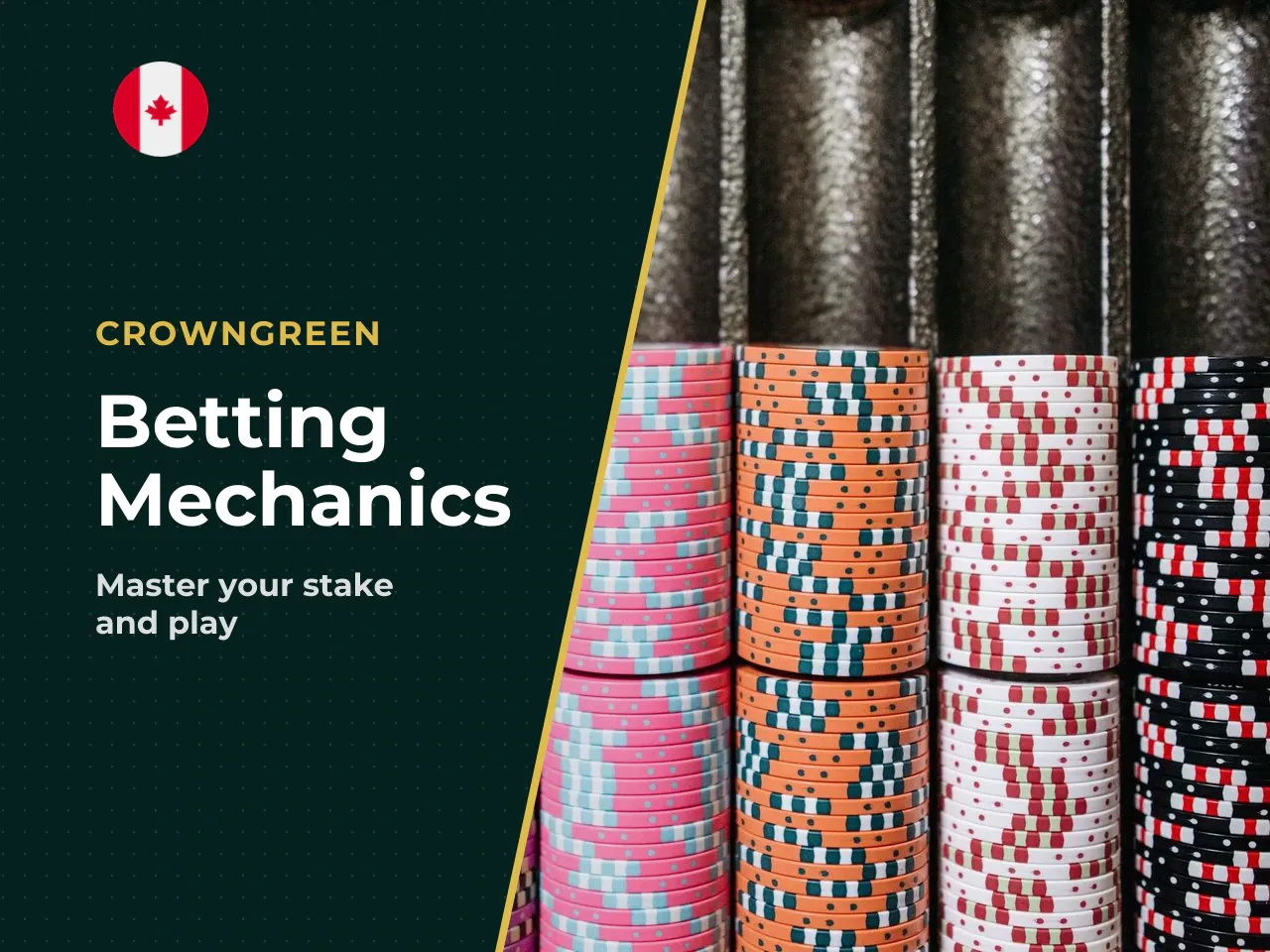 Setting Your Stake and Launching Your