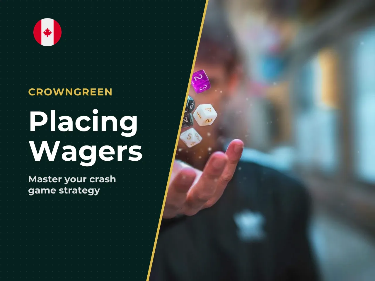 3.1 Placing bets, twin bets, autoplay