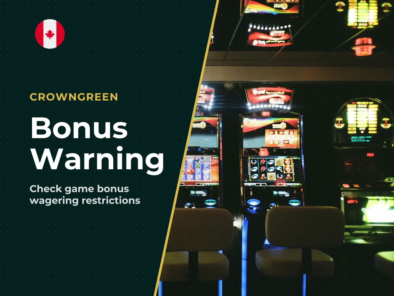 Critical Bonus Warning Dead or Alive